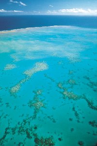 Aerial shot of Great Barrier Reef